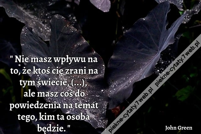 Nie masz wpływu na to, że ktoś cię zrani na tym świecie, staruszku, ale masz coś do powiedzenia na temat tego, kim ta osoba będzie.