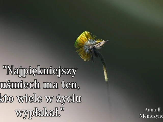 Najpiękniejszy uśmiech ma ten, kto wiele w życiu wypłakał.