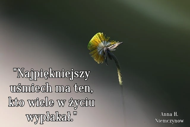 Najpiękniejszy uśmiech ma ten, kto wiele w życiu wypłakał.