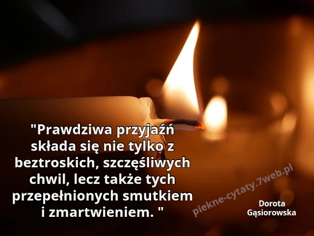 "Prawdziwa przyjaźń składa się nie tylko z beztroskich, szczęśliwych chwil, lecz także tych przepełnionych smutkiem i zmartwieniem. "