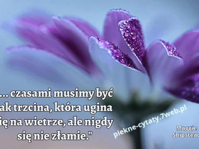 "... czasami musimy być jak trzcina, która ugina się na wietrze, ale nigdy się nie złamie."